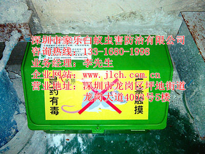 坪山專業除蟲滅鼠、白蟻防治